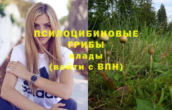 ПСИЛОЦИБИНОВЫЕ ГРИБЫ Абдулино