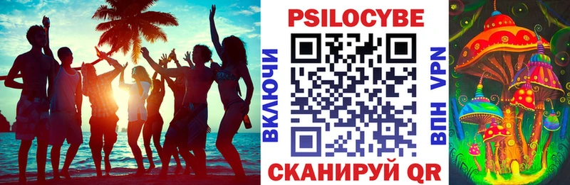Галлюциногенные грибы Psilocybe  как найти закладки  Дивногорск 