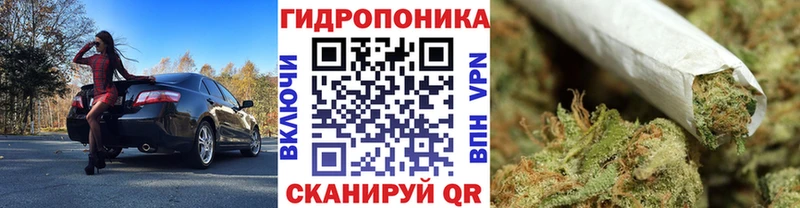 OMG зеркало  Дивногорск  Каннабис Amnesia 